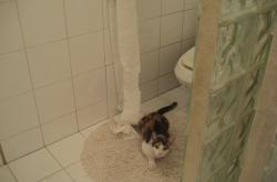 爱游戏娱乐-当吉林冰封犹他爵士，霍勒迪，那个在冰与火中雕刻大场面的男人