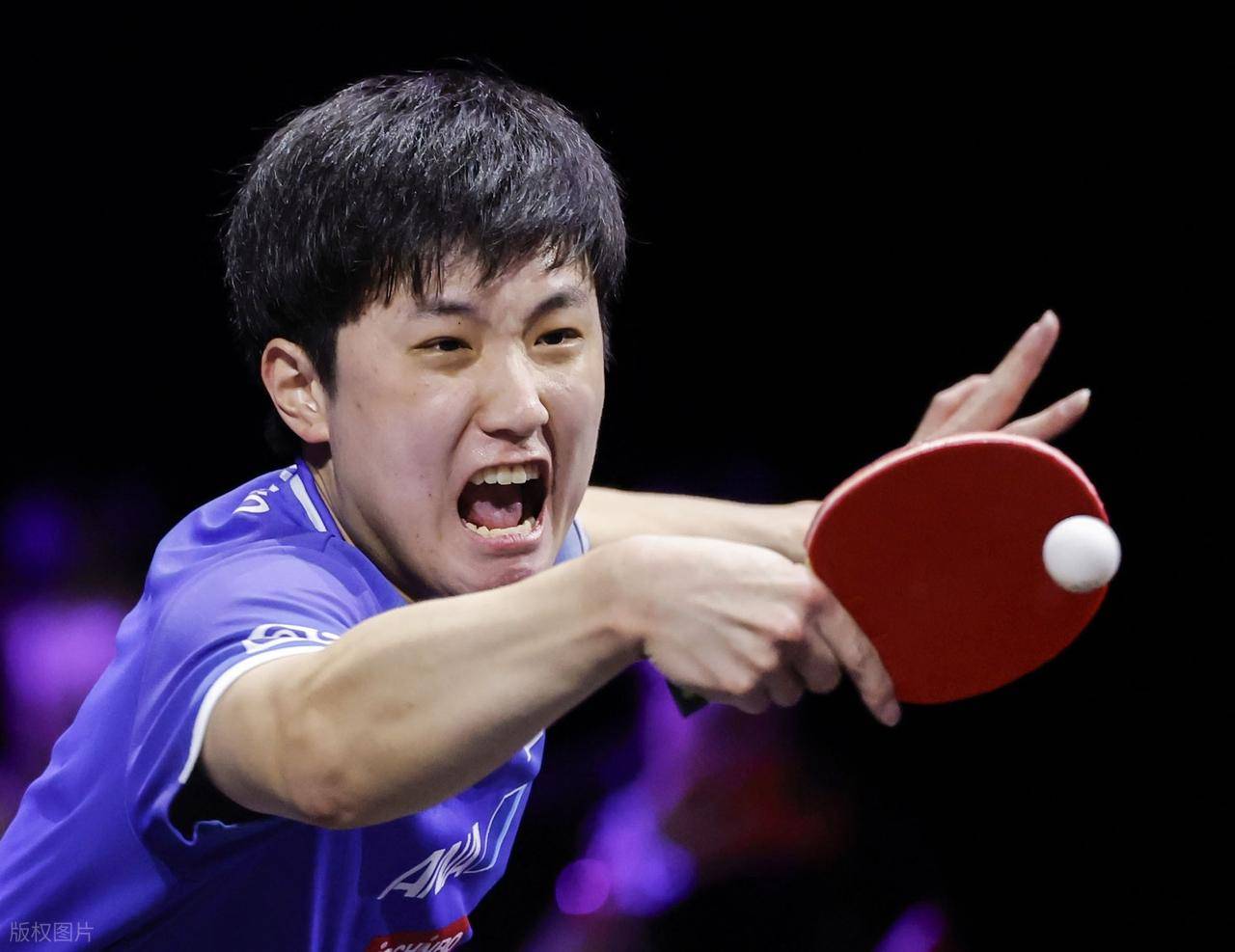 关于奥地利乒乓球队轻取日本乒乓球队，张继科关键制胜的信息