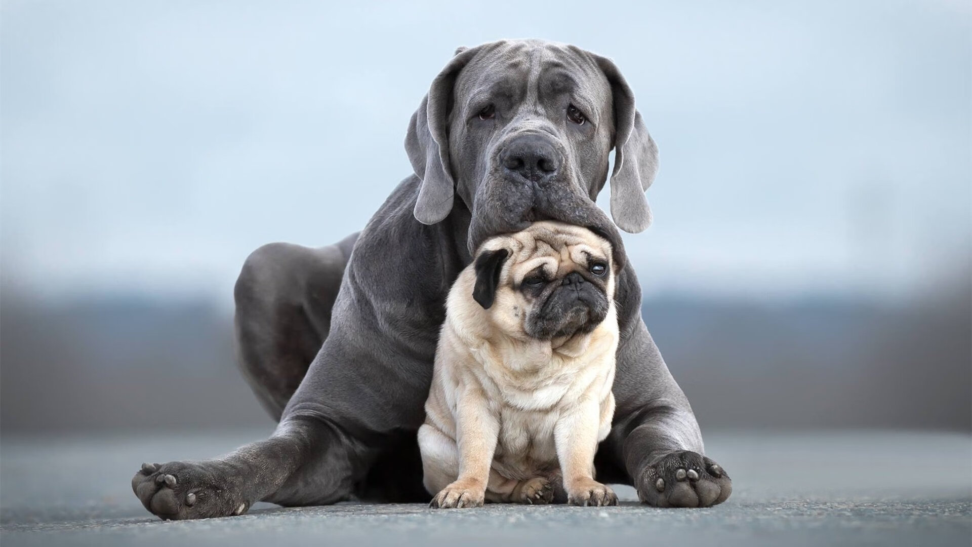逆转与接管，当马刺的坚韧遇上贝恩的锋芒